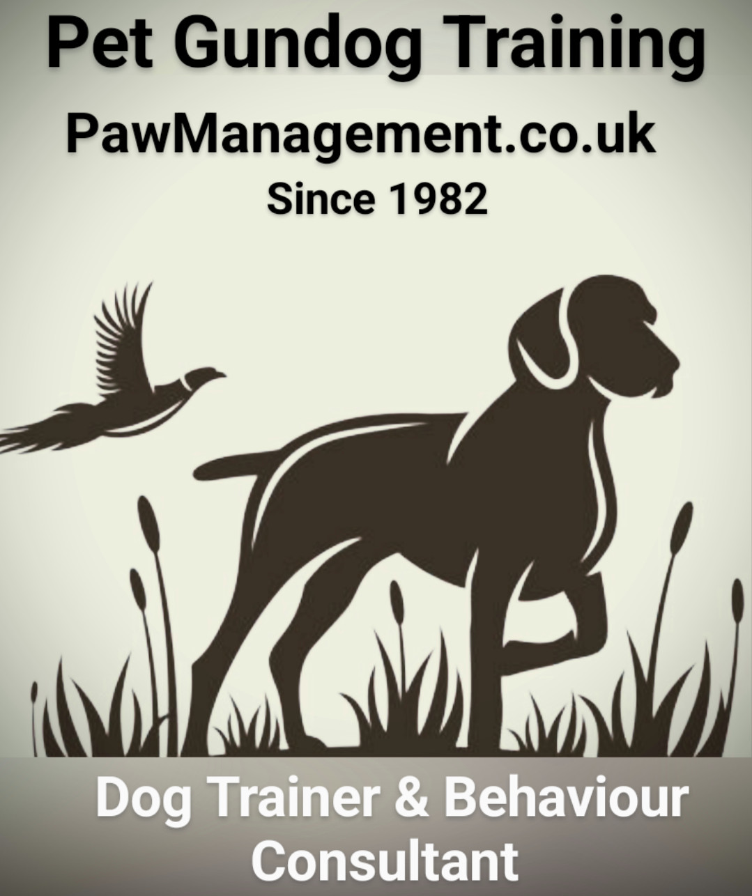 A. Beattie, Gundog Training - Spaniel Specialist. A.J.Beattie Gunshots photographer logo