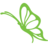 A Touch of Spring Florist logo