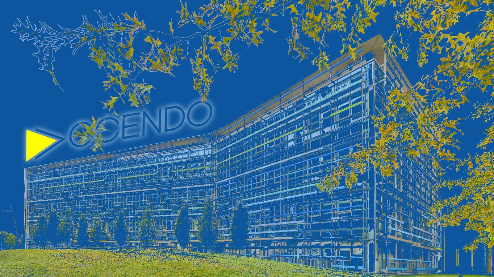 Accendo Consultants logo
