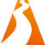 Ace Driveways logo