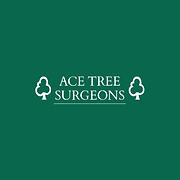 Ace Tree Surgeons logo