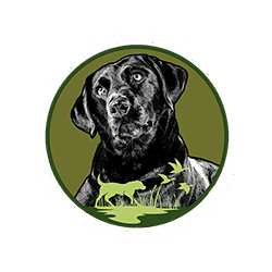 Action 4 Dogs Edinburgh & Lothians Dog Trainer logo