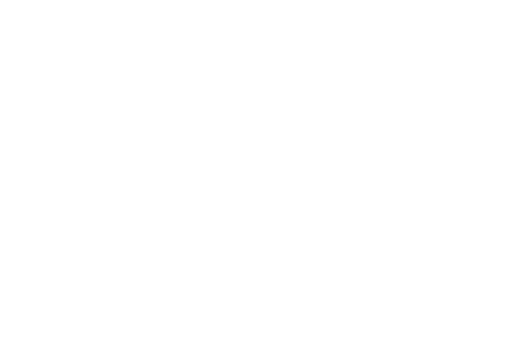 Aimee Social Marketing logo