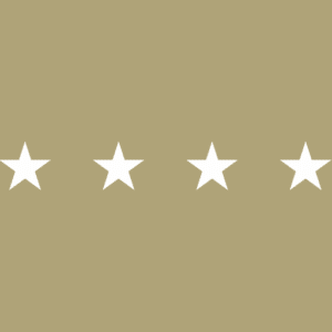 AmberRose Spa logo