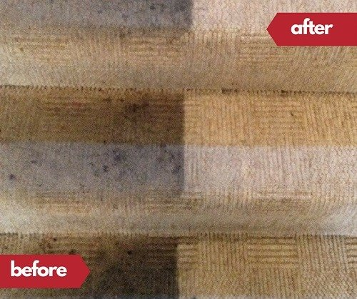 Ayrshire Premier Carpet Care logo