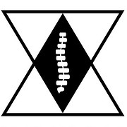 Back to Wellness Chiropractic logo