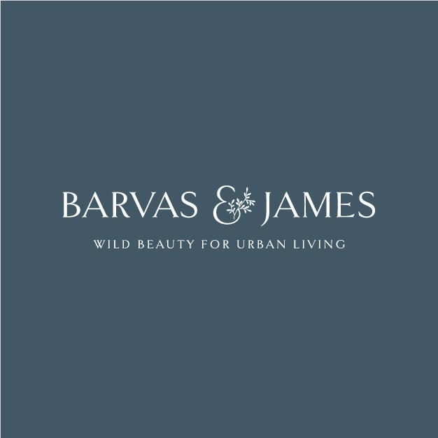 Barvas & James logo