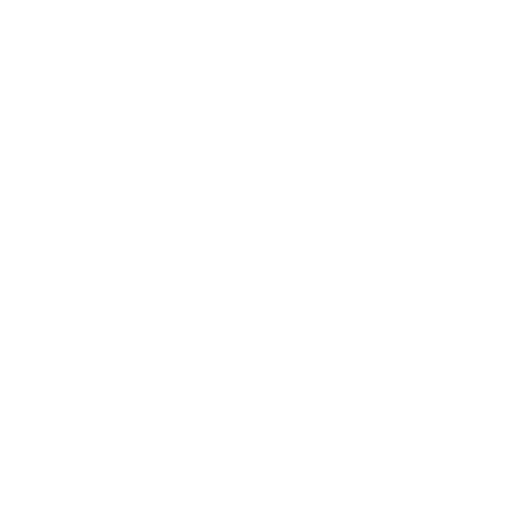 Bespoke Scotland Car Tours logo