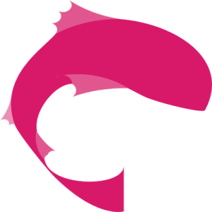 Big Pond Digital - SEO & Digital Marketing Agency logo