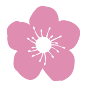 Blossom Home Care Ayrshire logo