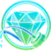 Brite Gem Cleaning Services logo