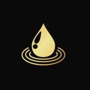 BS Plumbing and Bathrooms Ltd logo