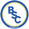 BSC Sports Injury Clinic logo