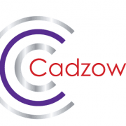 Cadzow Car Clinic logo
