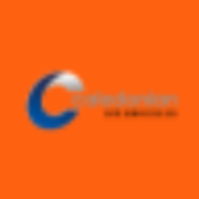 Caledonian Group logo
