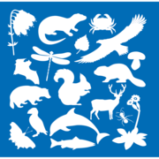 Cambus Pools Nature Reserve logo