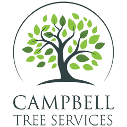 Campbell Tree Services logo