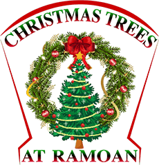 Christmas Trees At Ramoan logo