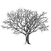 Crosswoodhill Farm Holiday Cottages logo