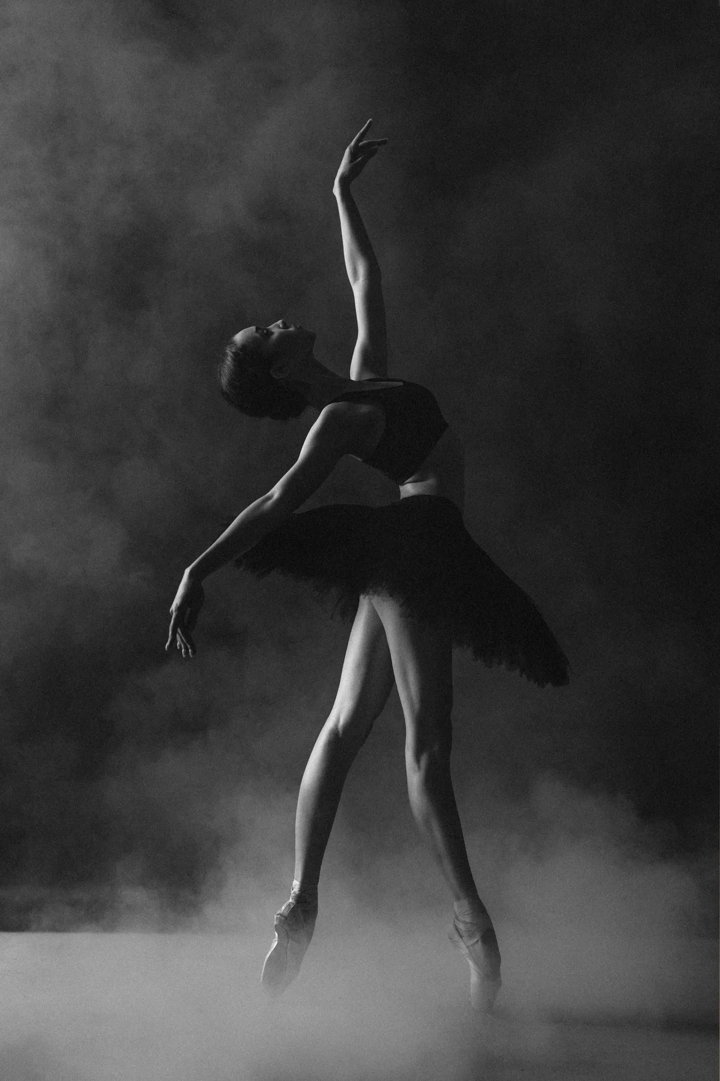 Dance Arts Of Orange County logo