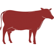 David Cox Butchers Bridgeton & Kings Park logo
