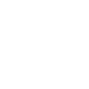 Debra Pickering, Counselling and Psychotherapy logo