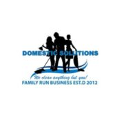 Domestic Solutions logo