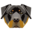 Dougs Dug Treats logo