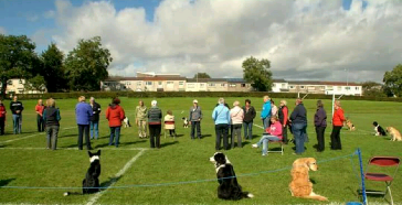 East Kilbride Dog Training Club logo