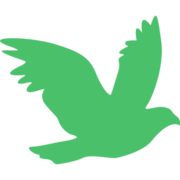 Eco Environmental Services Ltd - Bird Control Scotland Regional Office logo