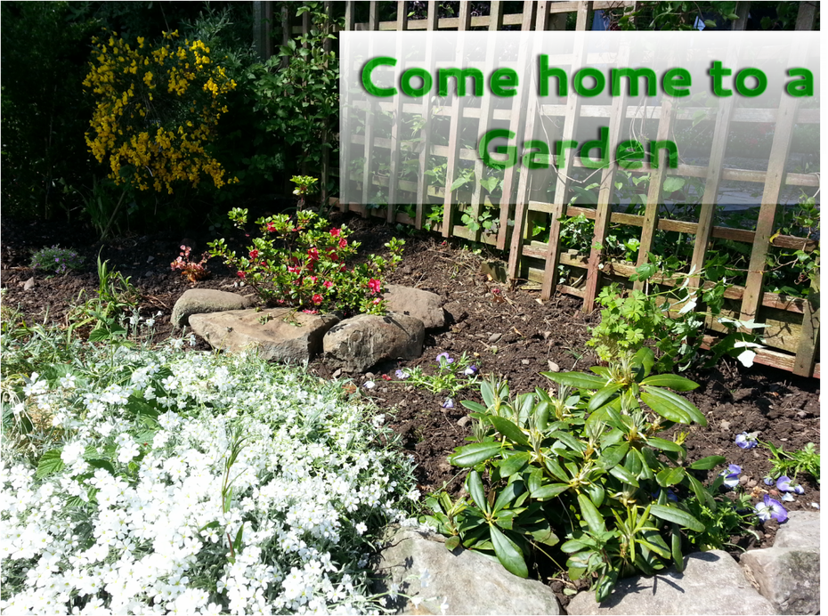 Eden Landscapes logo