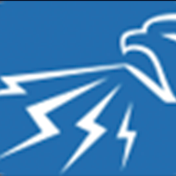 Falcon Electrical Testing/ Engineering Ltd logo