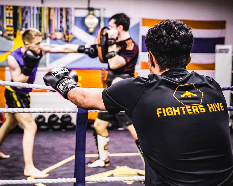 Fighters Hive Martial Arts logo