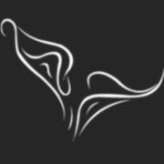 G. McAllister Funeral Directors logo
