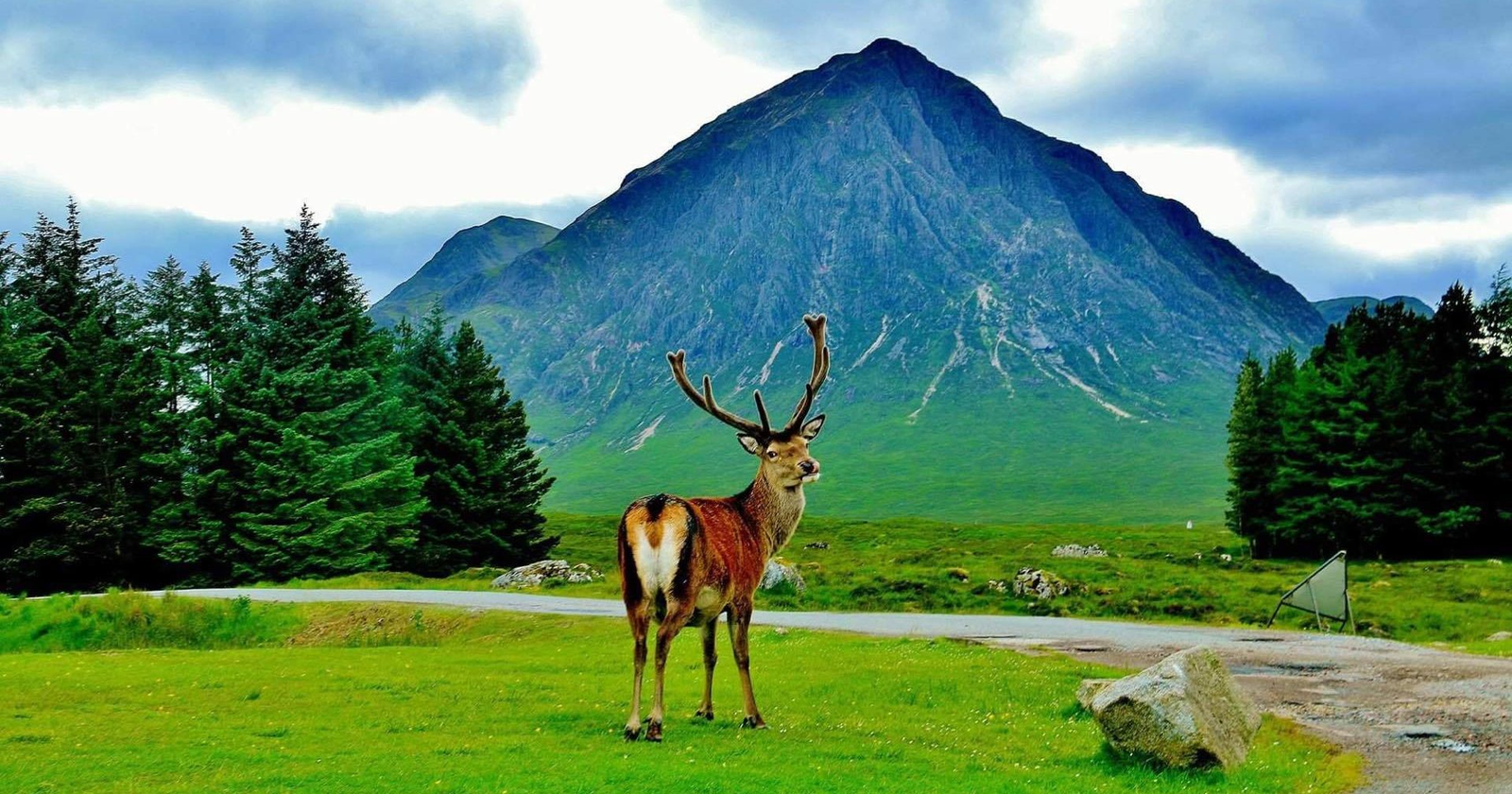 Ginger Routes - west highland way bag transfer service logo