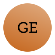 Global Eco Energy Solutions logo