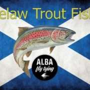 Harelaw Trout Fishery and Coffee Shop logo