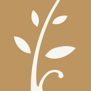 Jasmine Therapy Traditional Thai Massage logo