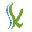 Keith Robertson Registered Osteopath logo