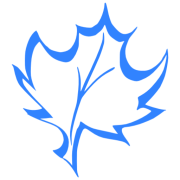 Kingsport Dental Clinic logo
