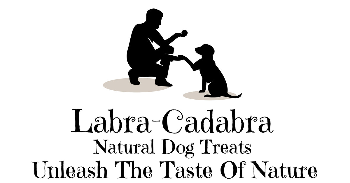 Labra-Cadabra logo