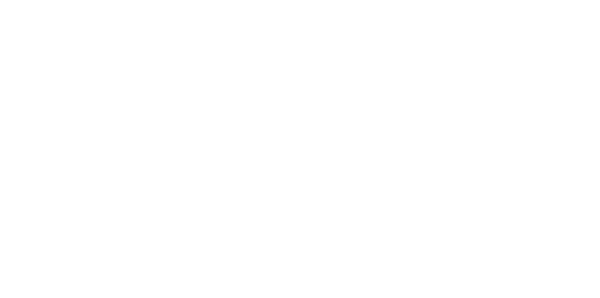 Leith Army Stores logo