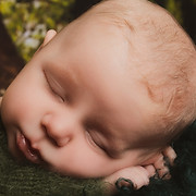 Lexi Lu Baby and Family Photography logo