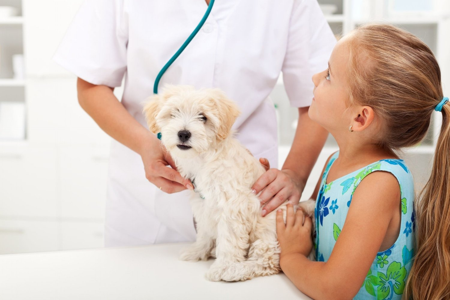 Lomond Veterinary Clinic logo