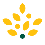 Morrisons logo