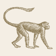 Mowgli Street Food Edinburgh logo