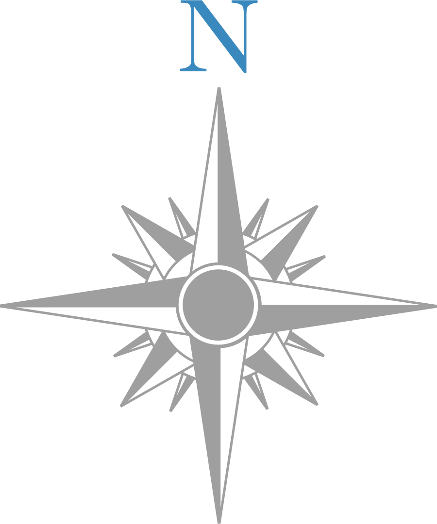 Nelsons logo