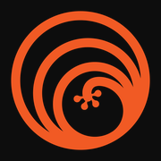 Network Gecko logo