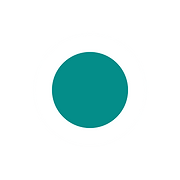 Newford Projects Ltd. logo
