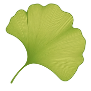 Ogilvie Hayes Tree and Garden Services logo